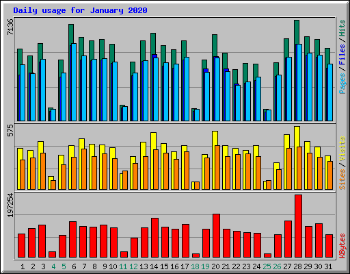Daily usage for January 2020