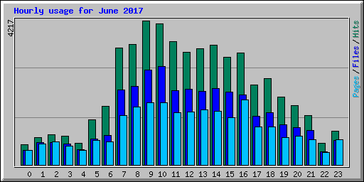 Hourly usage for June 2017