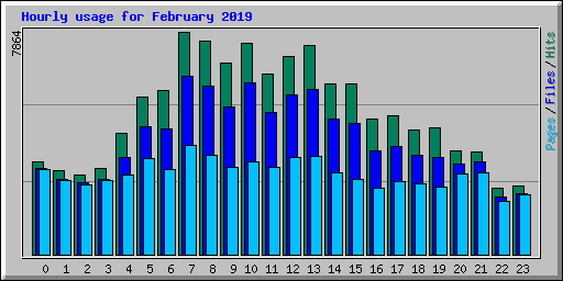 Hourly usage for February 2019