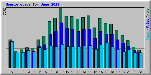 Hourly usage for June 2019