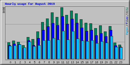 Hourly usage for August 2019