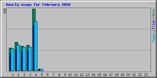 Hourly usage for February 2020